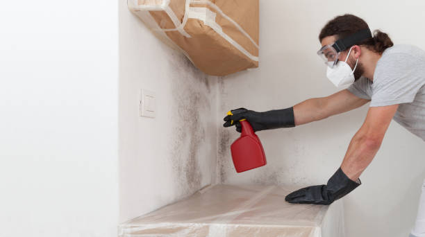 Professional Mold Remediation technician working in Bailey, NC