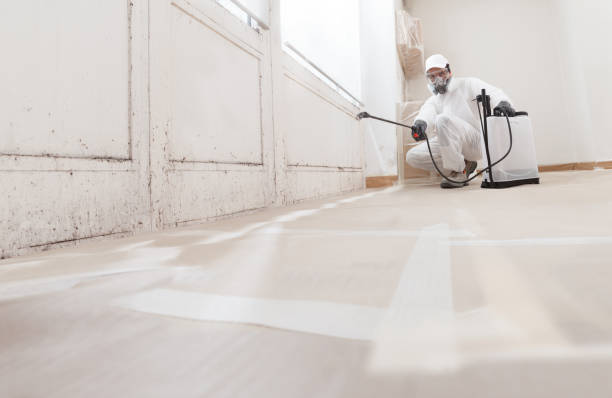 24/7 Emergency Mold Remediation experts in Bailey, NC